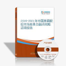 2016-2021年中國(guó)焦磷酸鉛市場(chǎng)前景及投資機(jī)會(huì)研究